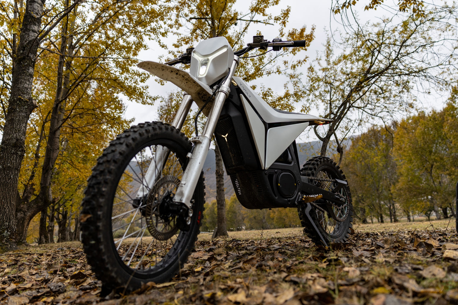Y-VOLT Surge V