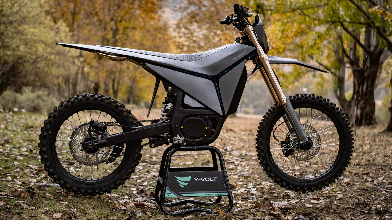 Surge V side profile in autumn forest